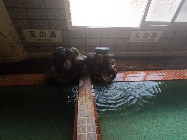 f:id:zenigame1:20241109185435j:image