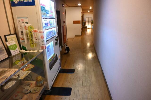 f:id:zenigame1:20241206201907j:image