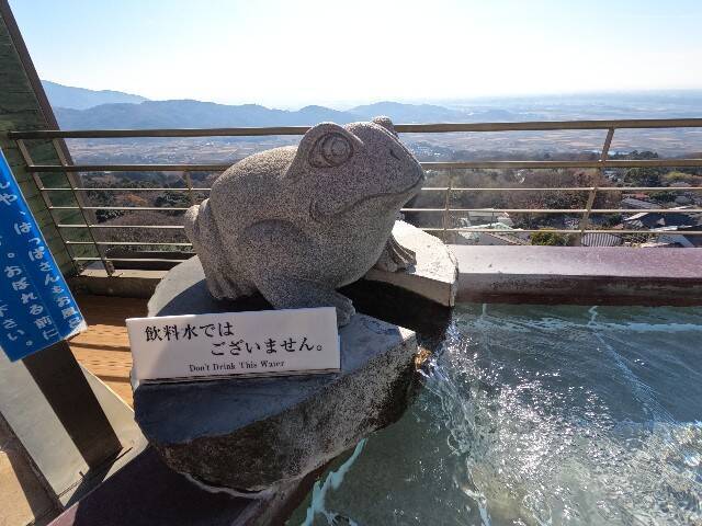 f:id:zenigame1:20241222160106j:image