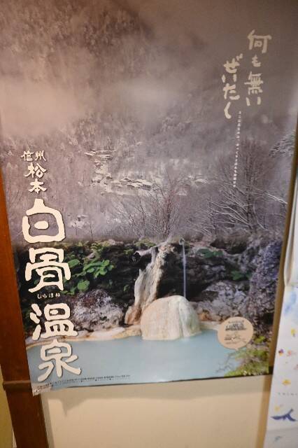 f:id:zenigame1:20250107213150j:image