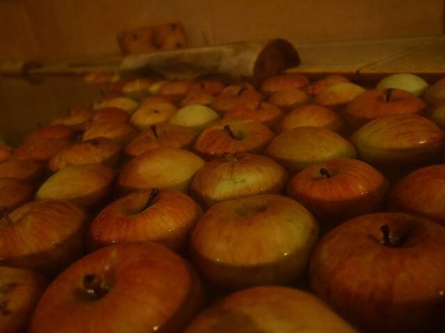 f:id:zenigame1:20250226172213j:image