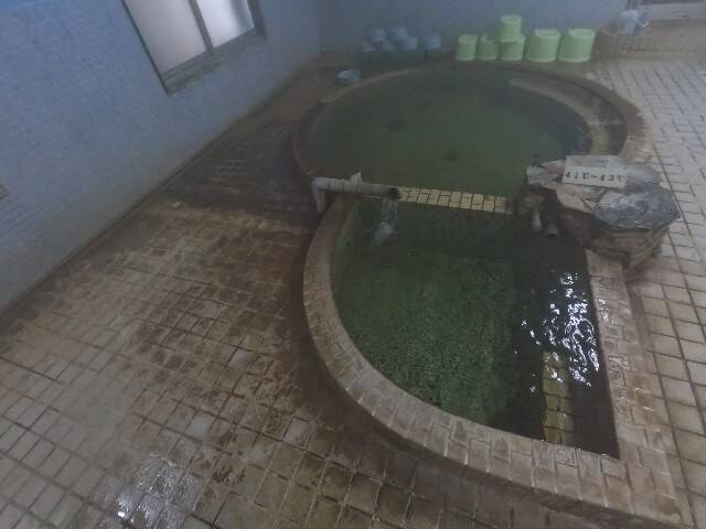 f:id:zenigame1:20250324231856j:image
