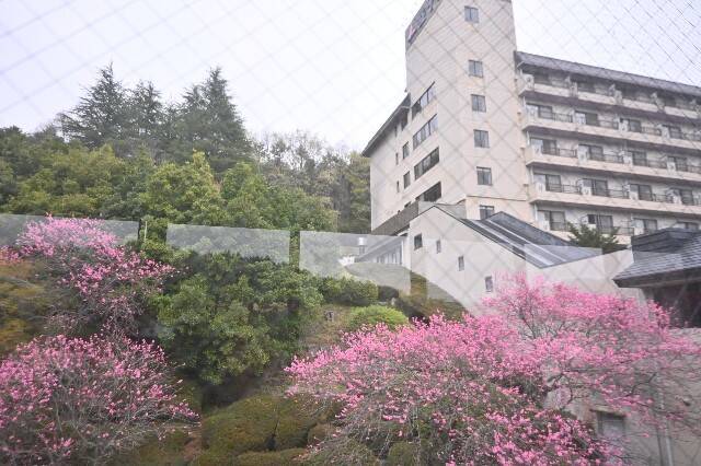 f:id:zenigame1:20250426162301j:image
