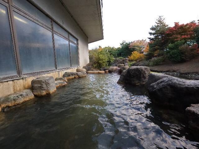 f:id:zenigame1:20251123181821j:image