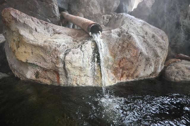 f:id:zenigame1:20260130164720j:image