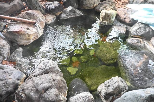 f:id:zenigame1:20260130170547j:image