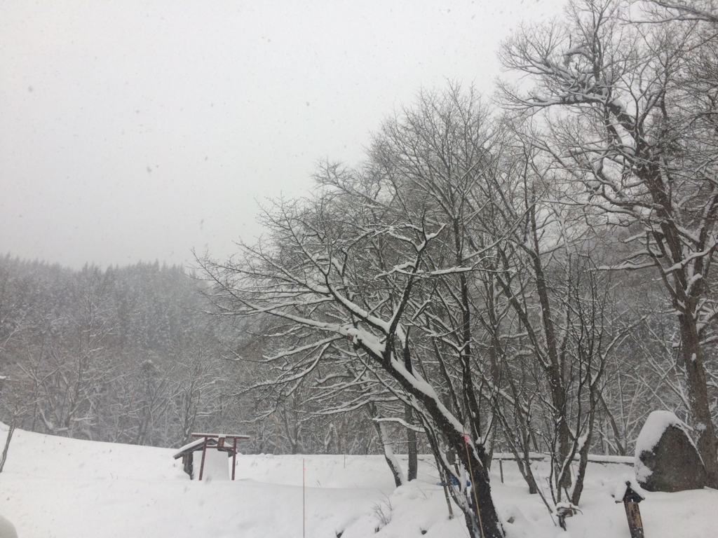 f:id:zenikawaonsen:20161215151630j:plain f:id:zenikawaonsen:20161215151630j:plain