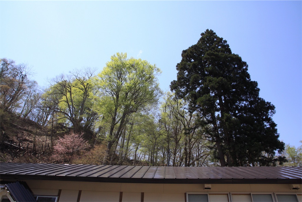 f:id:zenikawaonsen:20190521112226j:image