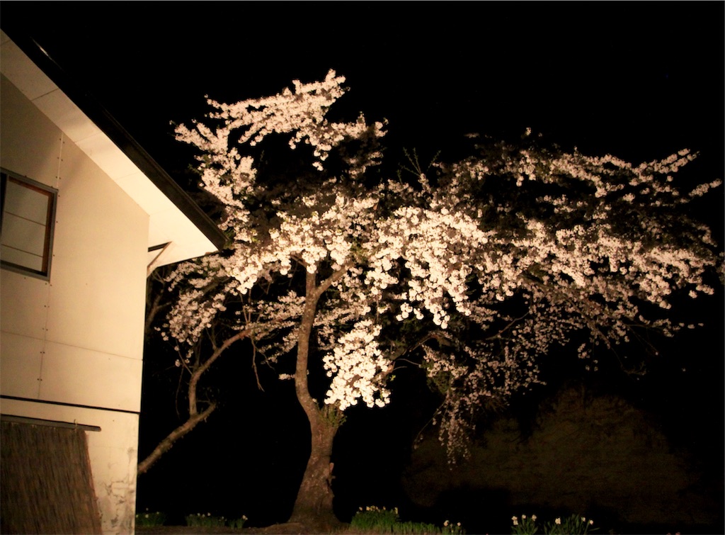 f:id:zenikawaonsen:20190521112229j:image