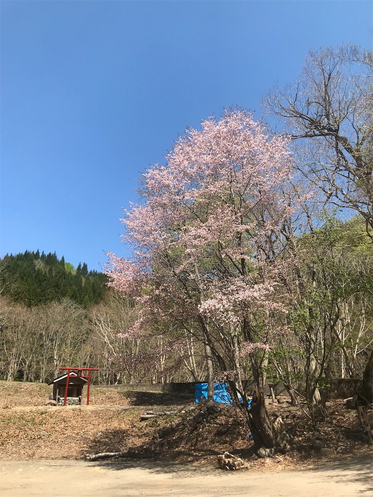 f:id:zenikawaonsen:20190521112237j:image