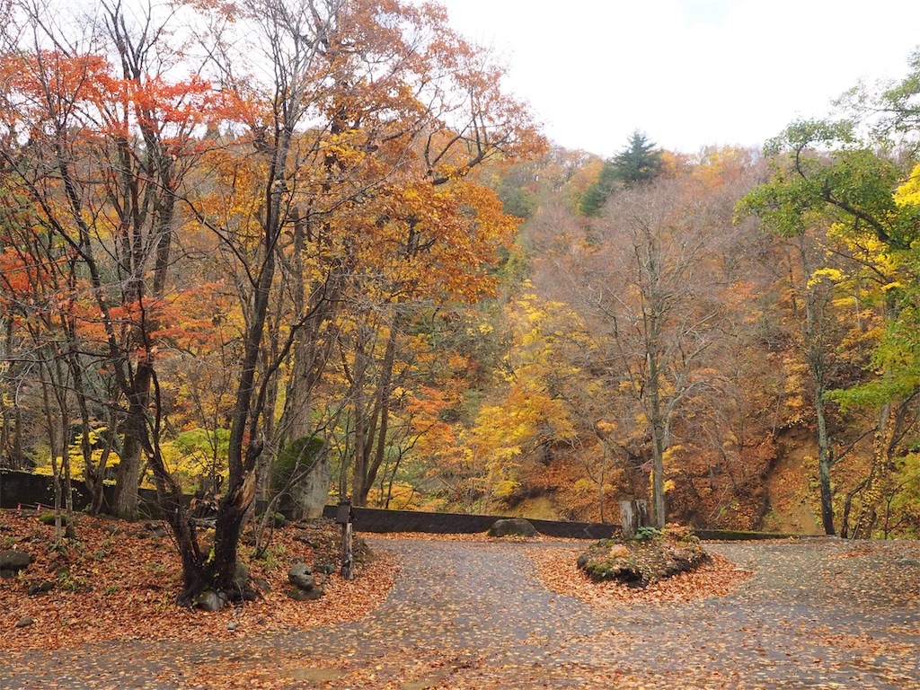 f:id:zenikawaonsen:20191116120704j:image f:id:zenikawaonsen:20191116120704j:image