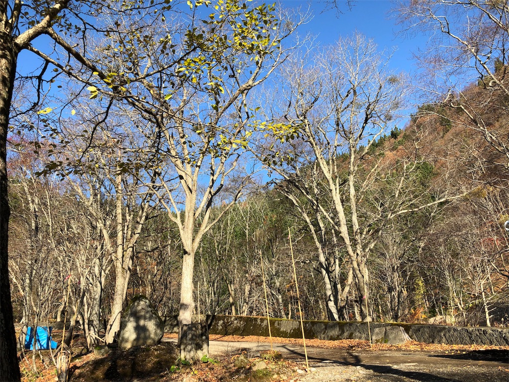f:id:zenikawaonsen:20191116122959j:image f:id:zenikawaonsen:20191116122959j:image