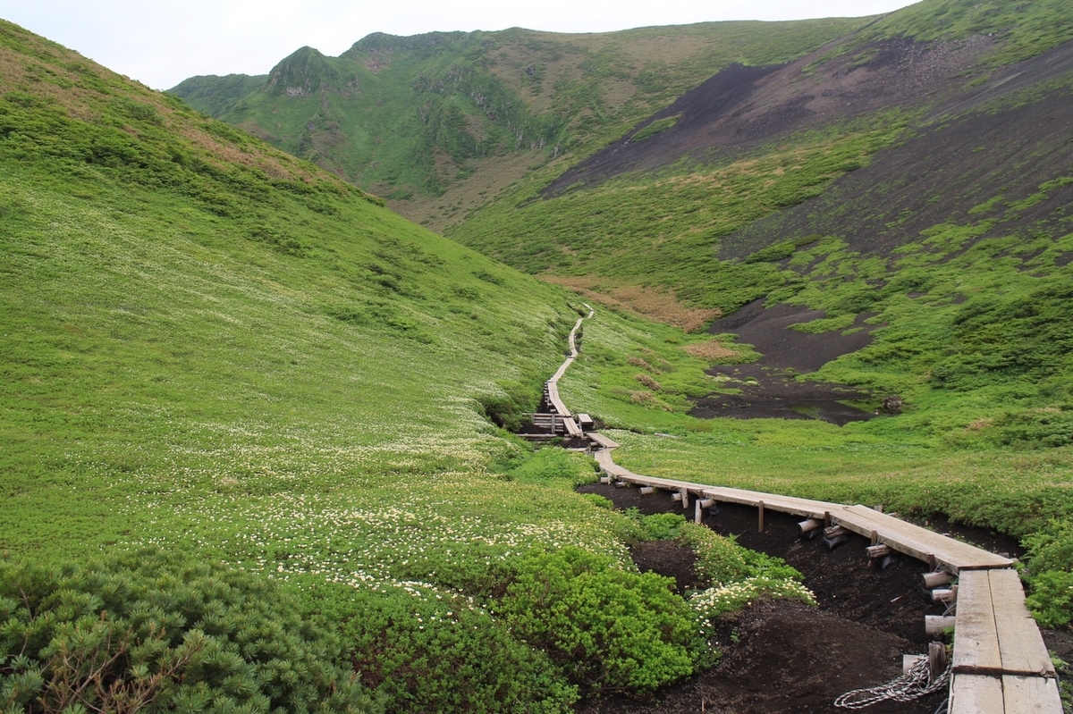 f:id:zenikawaonsen:20200709202944j:plain f:id:zenikawaonsen:20200709202944j:plain