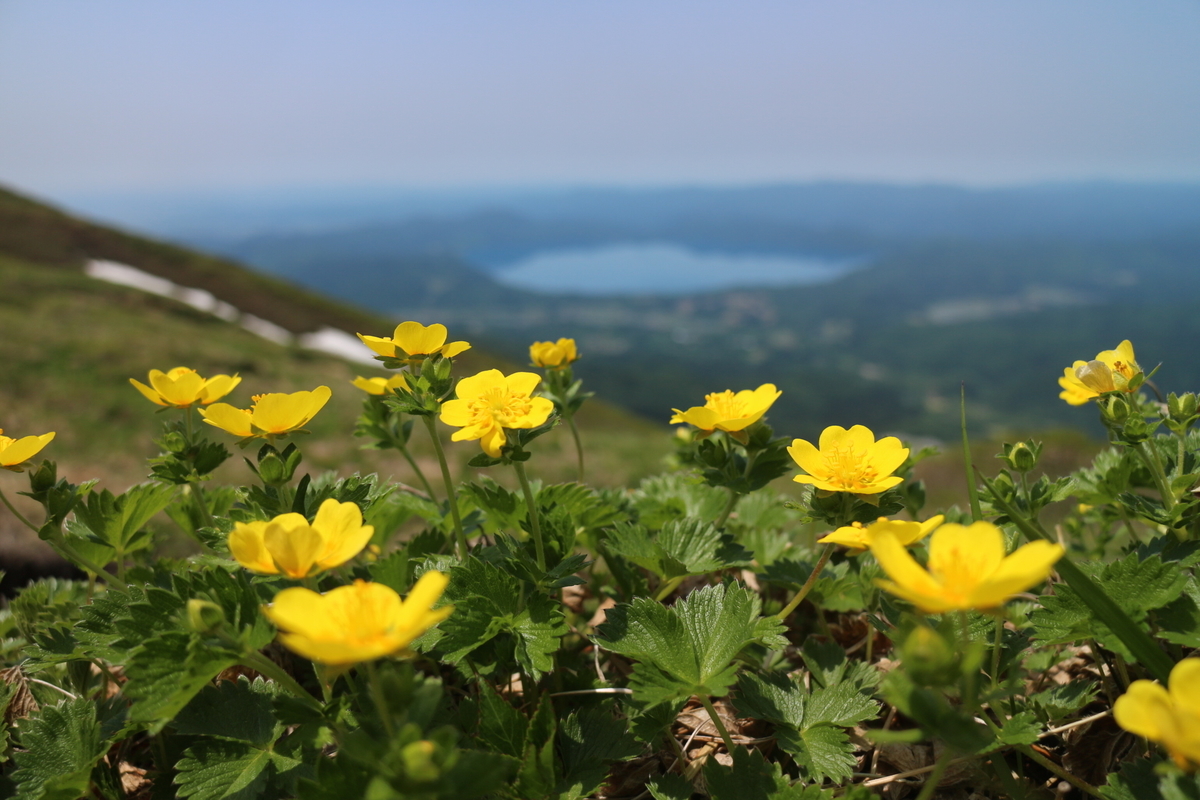 f:id:zenikawaonsen:20200711184117j:plain f:id:zenikawaonsen:20200711184117j:plain