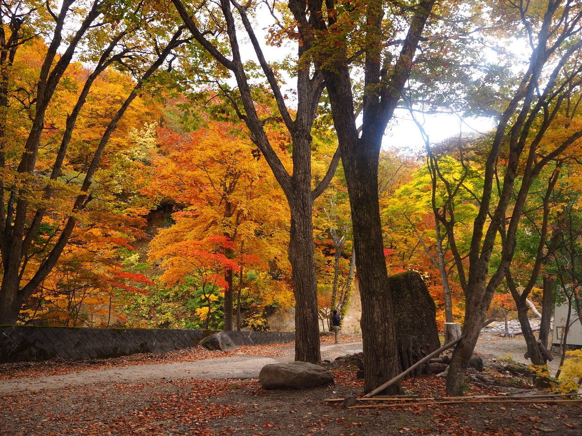 f:id:zenikawaonsen:20200916150108j:plain f:id:zenikawaonsen:20200916150108j:plain