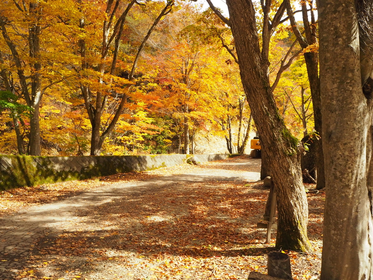f:id:zenikawaonsen:20200916150122j:plain f:id:zenikawaonsen:20200916150122j:plain