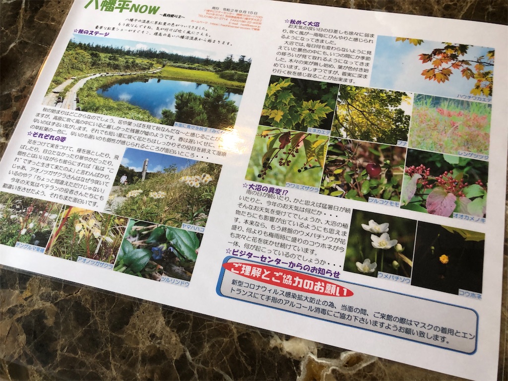 f:id:zenikawaonsen:20200916154428j:image f:id:zenikawaonsen:20200916154428j:image