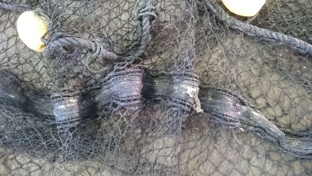 f:id:zenkaioyaji:20190311060711j:plain f:id:zenkaioyaji:20190311060711j:plain