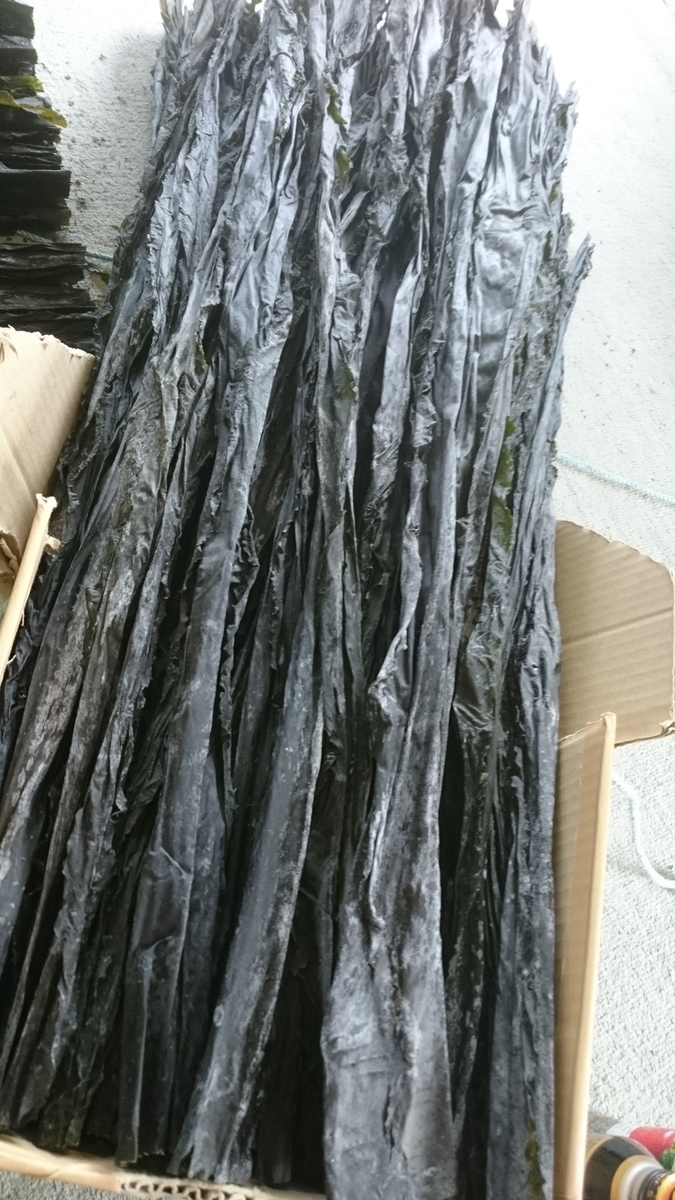 f:id:zenkaioyaji:20190709154018j:plain f:id:zenkaioyaji:20190709154018j:plain