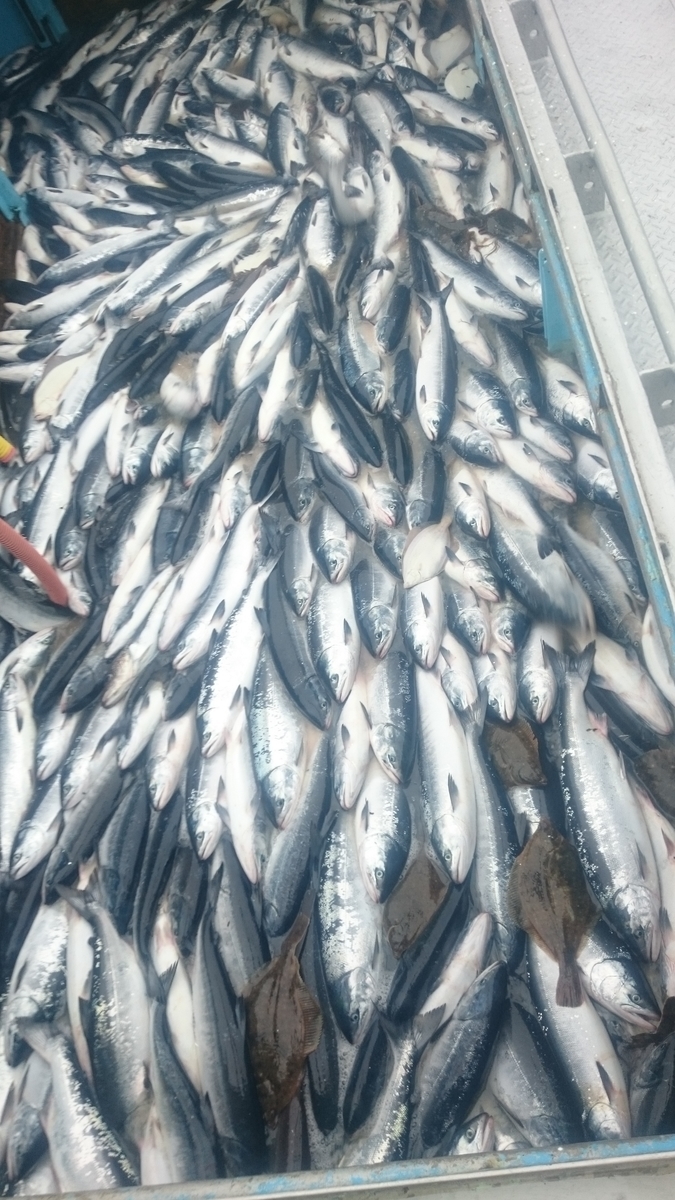 f:id:zenkaioyaji:20190924094729j:plain f:id:zenkaioyaji:20190924094729j:plain