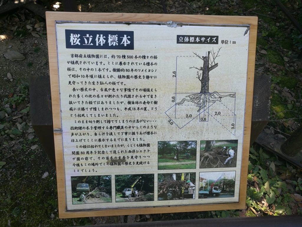 f:id:zenmaibane:20171102115902j:plain f:id:zenmaibane:20171102115902j:plain
