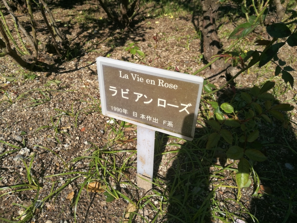f:id:zenmaibane:20171102120003j:plain f:id:zenmaibane:20171102120003j:plain