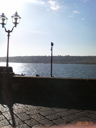 f:id:zennet:20070921163100j:image