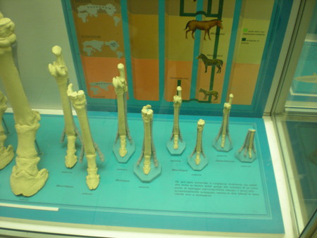 f:id:zennet:20080410150801j:image f:id:zennet:20080410150801j:image