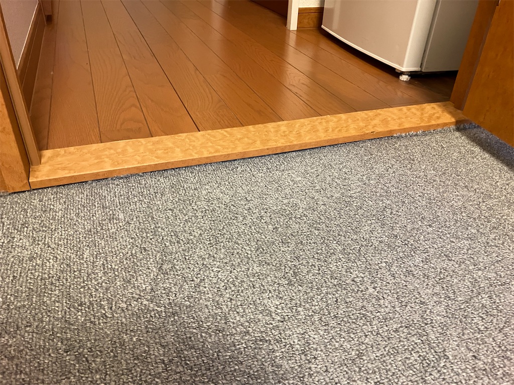 f:id:zenryokusyounen:20250317221837j:image