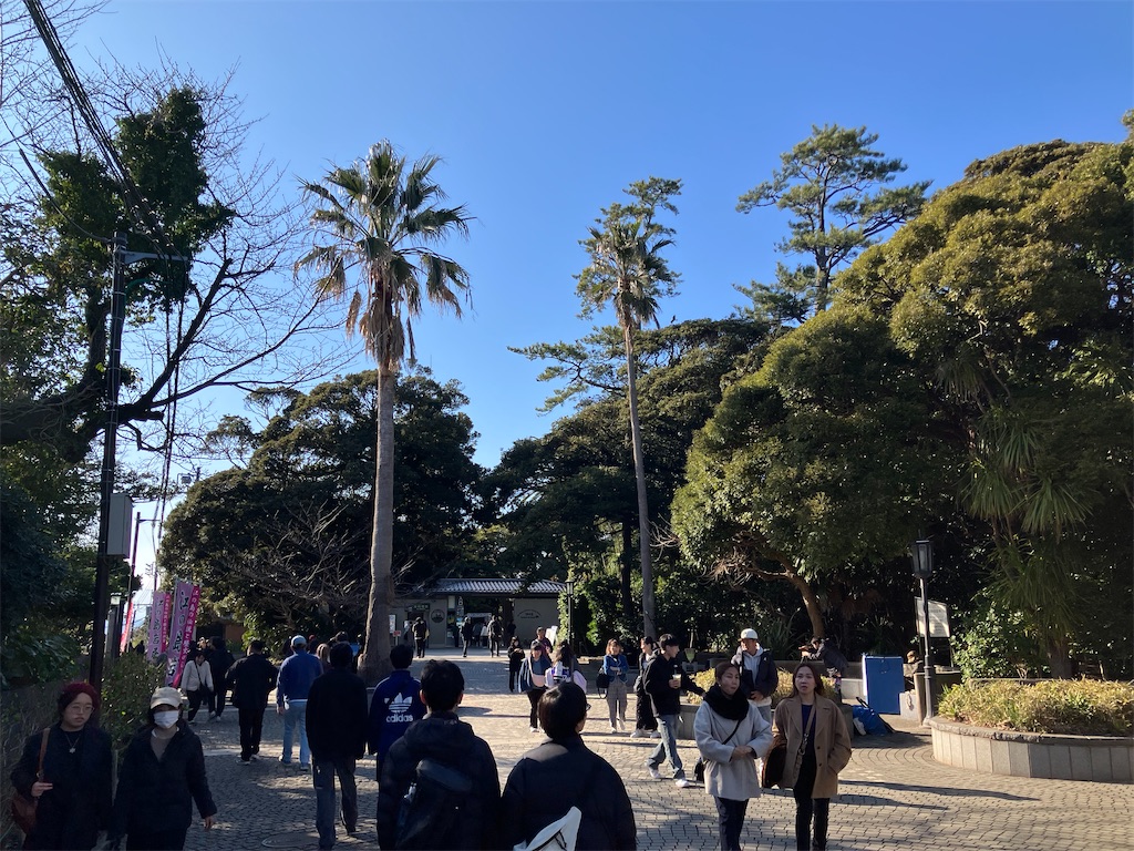 f:id:zenryokusyounen:20250323131837j:image