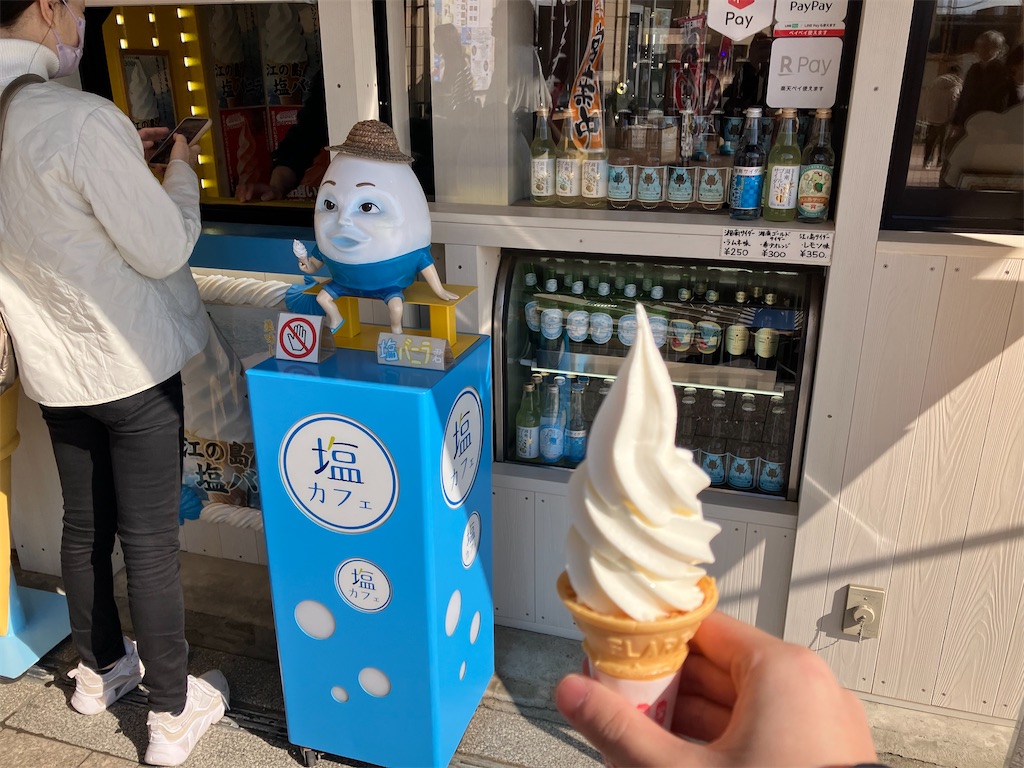 f:id:zenryokusyounen:20250323131900j:image