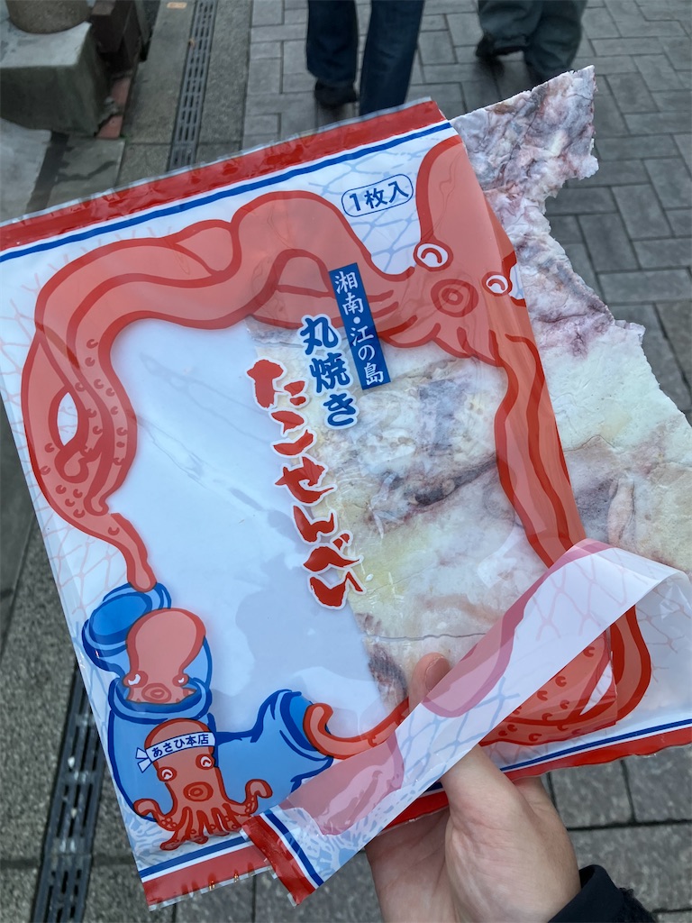f:id:zenryokusyounen:20250323131904j:image