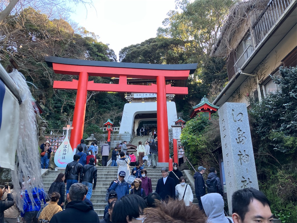 f:id:zenryokusyounen:20250323131927j:image