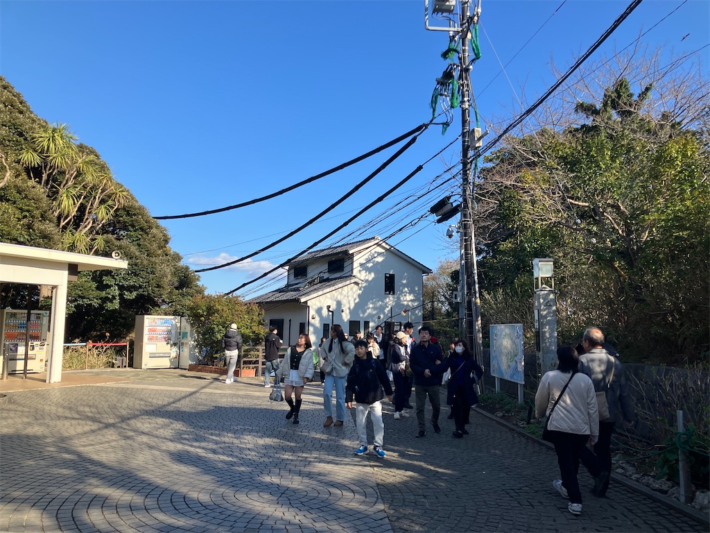 f:id:zenryokusyounen:20250323131937j:image
