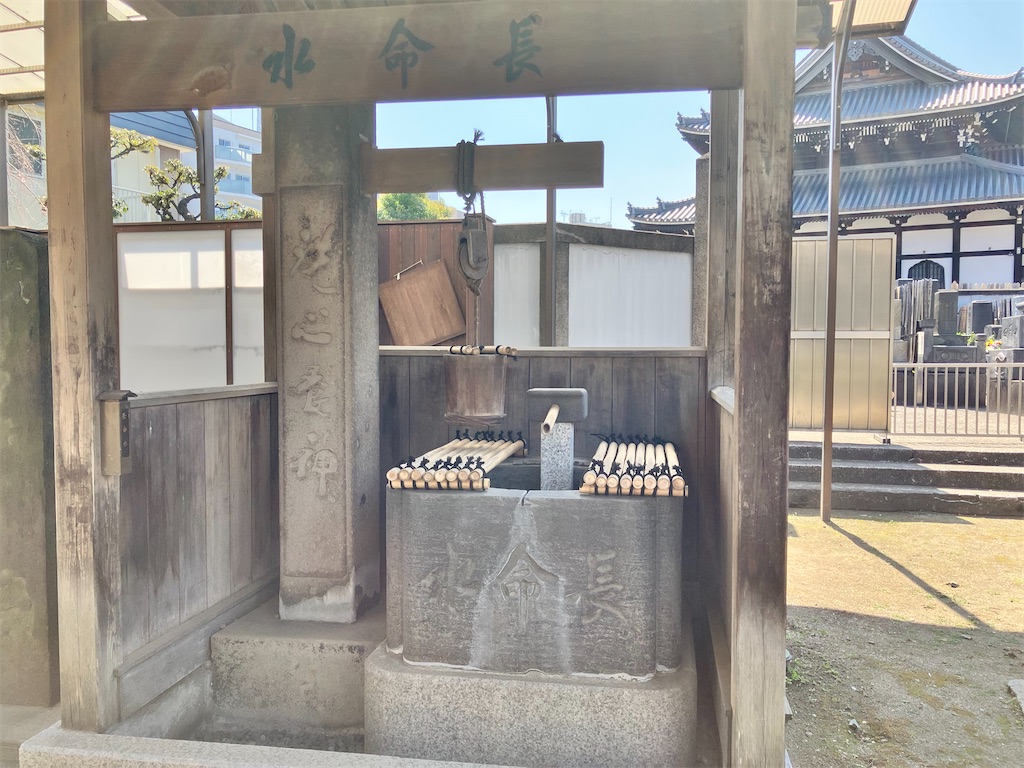 f:id:zenryokusyounen:20250323134410j:image