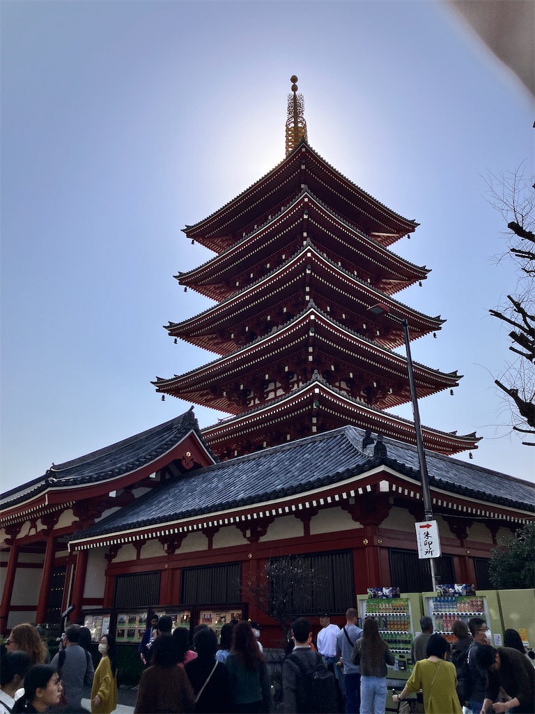 f:id:zenryokusyounen:20250323134415j:image