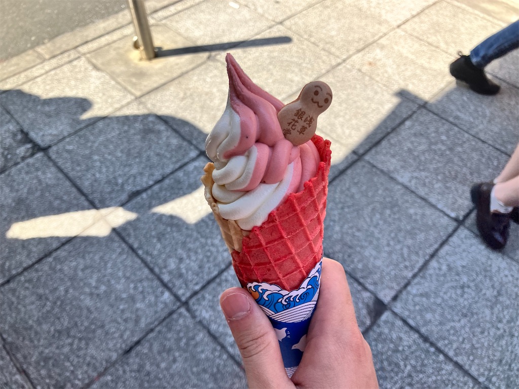 f:id:zenryokusyounen:20250323134447j:image