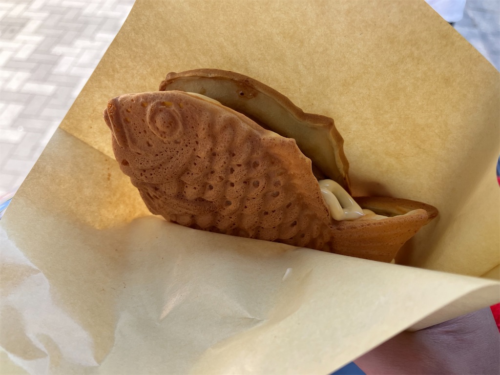 f:id:zenryokusyounen:20250323134505j:image