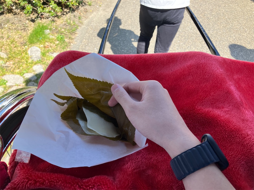 f:id:zenryokusyounen:20250323134509j:image