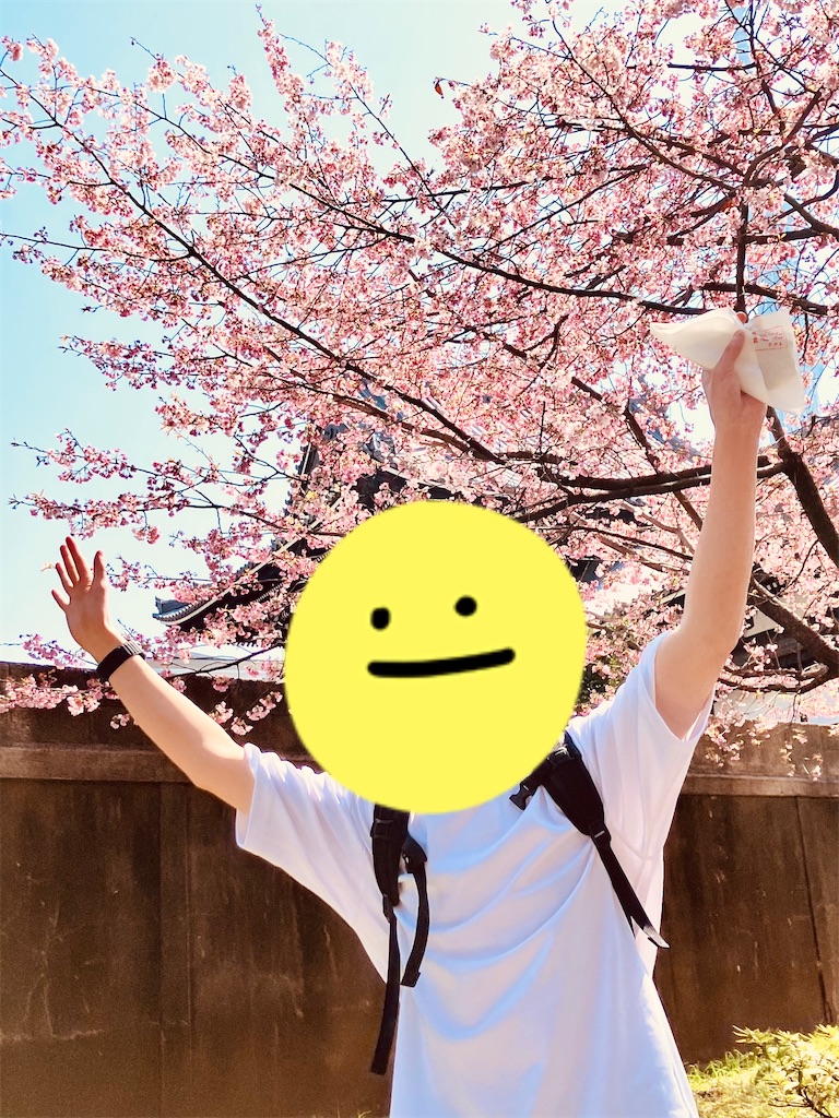 f:id:zenryokusyounen:20250323135512j:image