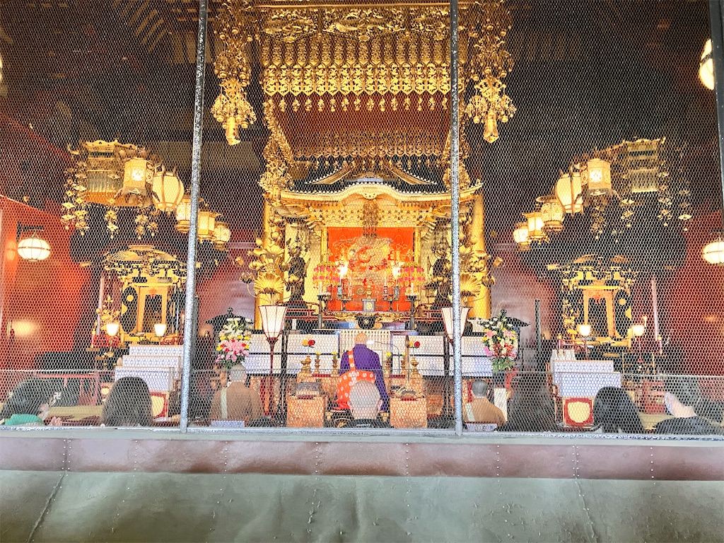 f:id:zenryokusyounen:20250323135534j:image