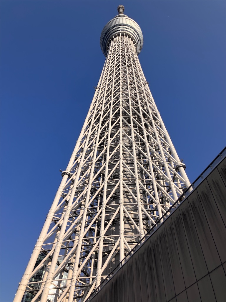 f:id:zenryokusyounen:20250323151714j:image