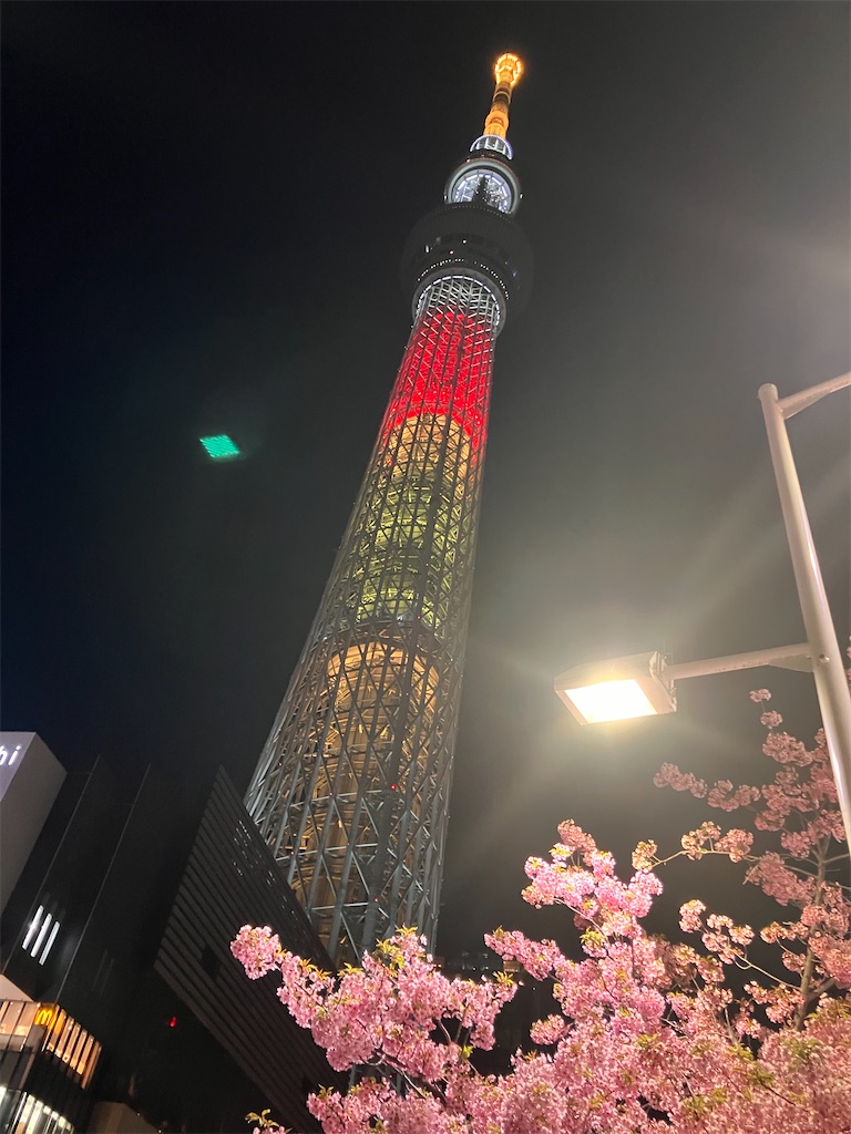f:id:zenryokusyounen:20250323151957j:image