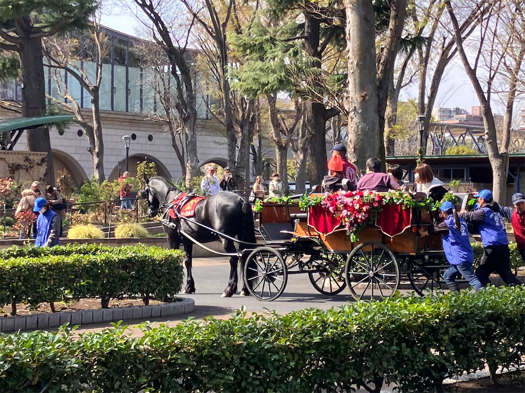 f:id:zenryokusyounen:20250331221347j:image