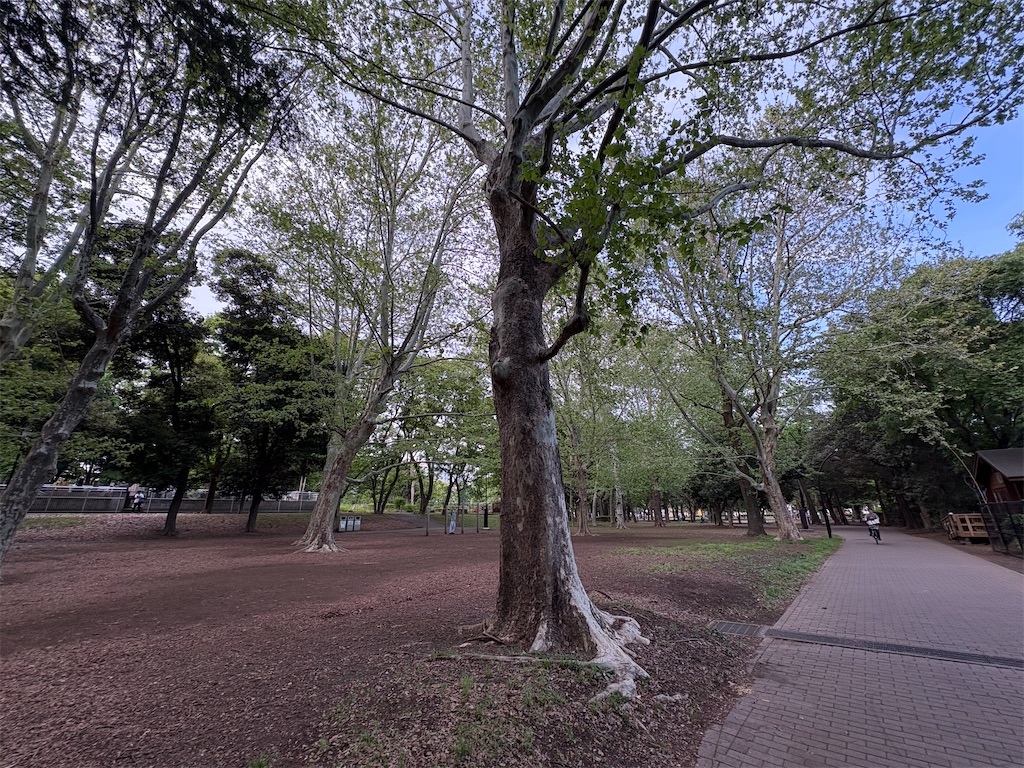 f:id:zenryokusyounen:20250427173025j:image