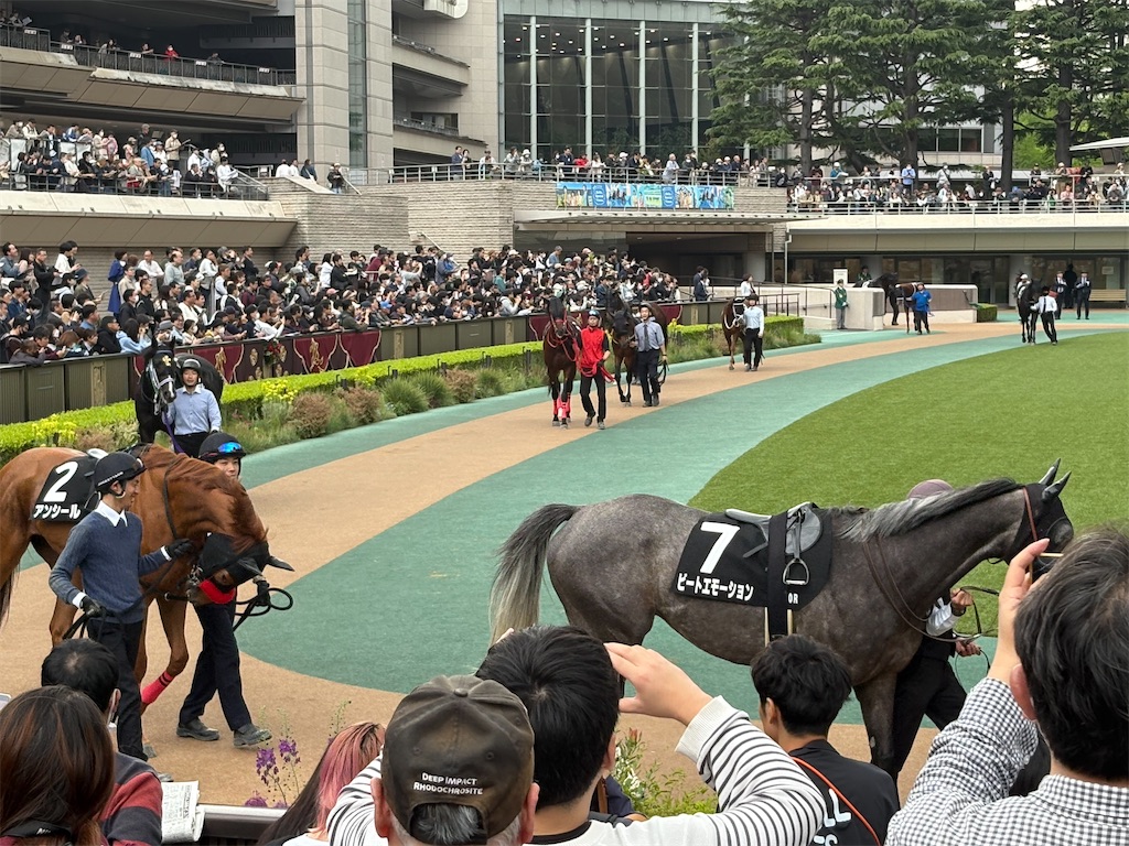 f:id:zenryokusyounen:20250427173236j:image