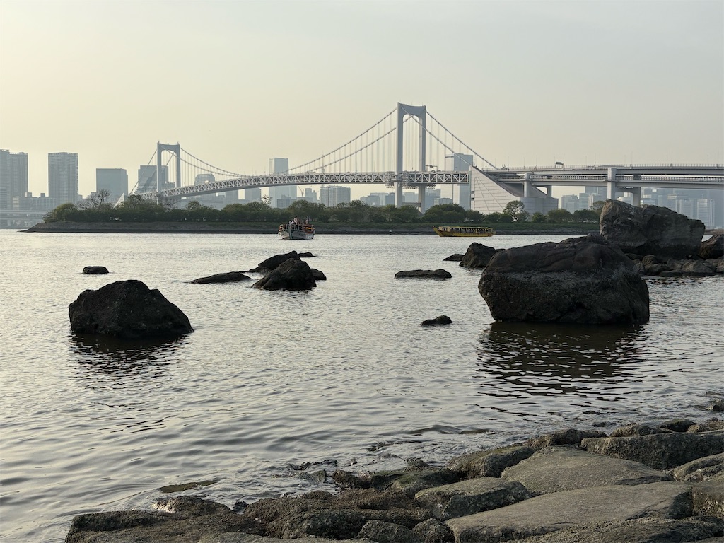 f:id:zenryokusyounen:20250427202536j:image