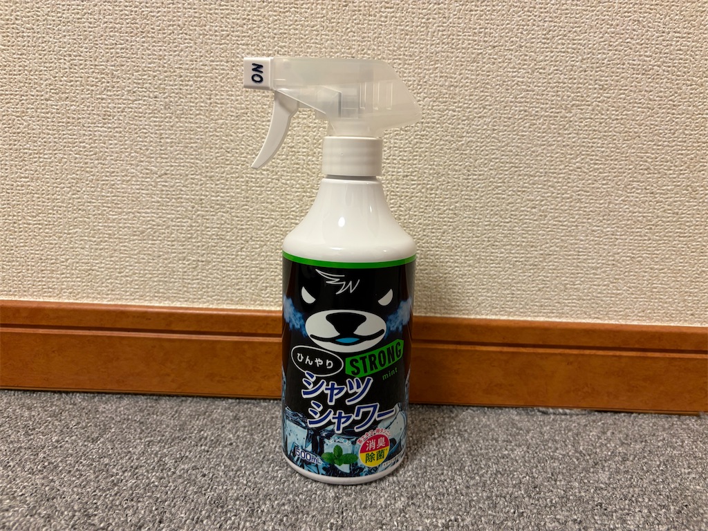 f:id:zenryokusyounen:20250627234958j:image