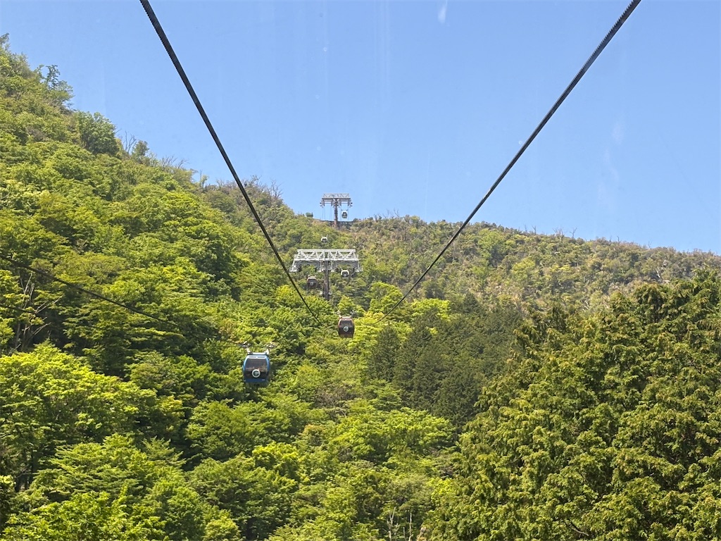 f:id:zenryokusyounen:20260607105331j:image f:id:zenryokusyounen:20260607105331j:image