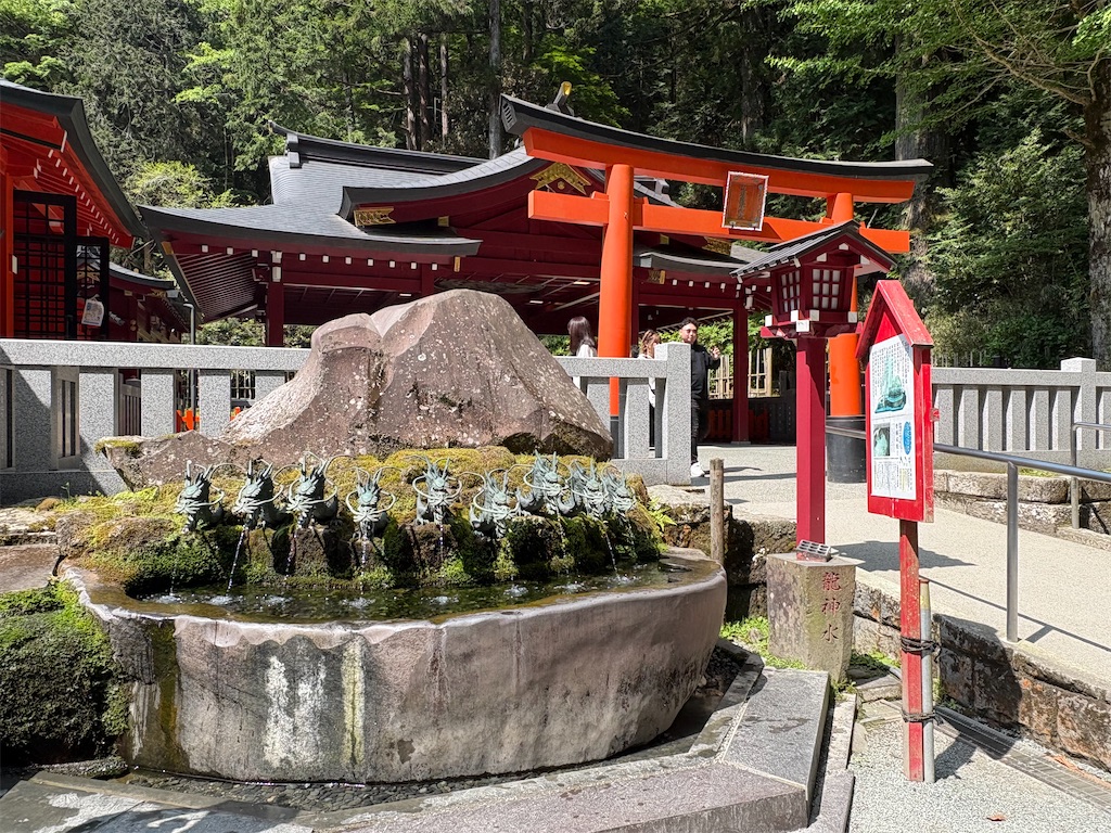 f:id:zenryokusyounen:20260607110443j:image f:id:zenryokusyounen:20260607110443j:image